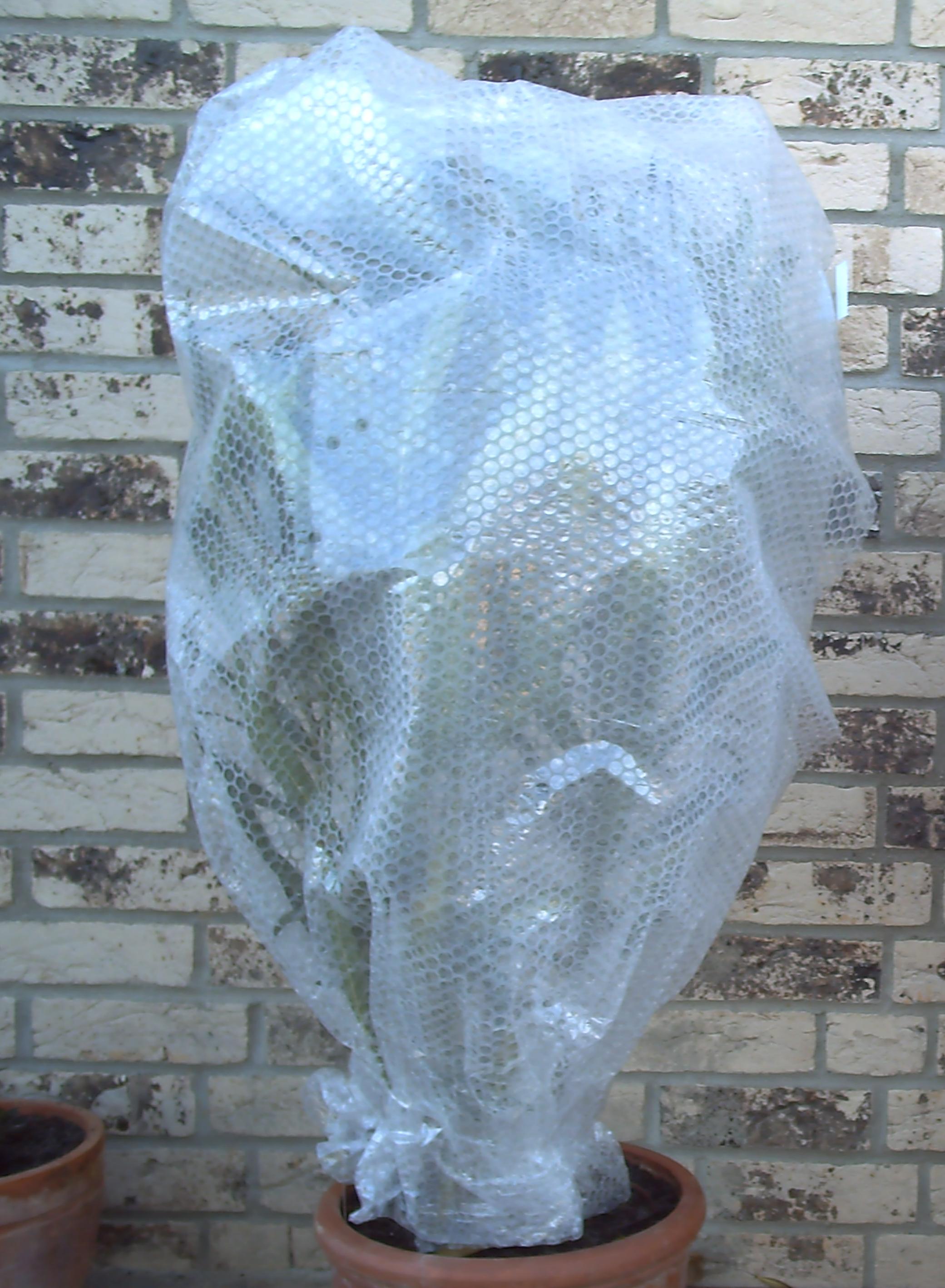 ISOLIERFOLIE 1,2m x 20m Frostschutz Luftpolsterfolie Noppen f. Kübelpflanzen