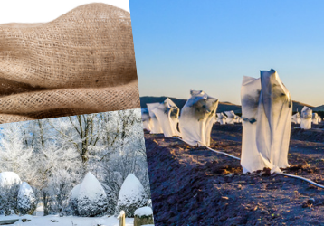 Wintervliese und Jutesäcke bedecken Pflanzen und schützen sie vor Kälte und Schnee