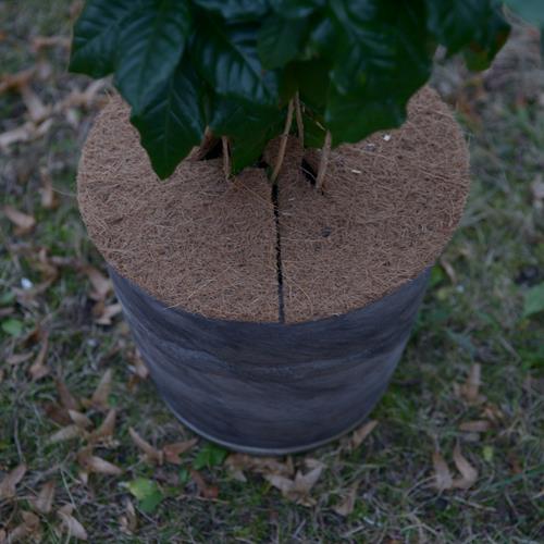 Kokosscheibe S Winterschutz für Topfpflanzen Kübelabdeckung Ø 25cm