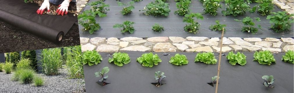 Gemüse und Pflanzen wächst mithilfe von Unkrautschutz und Unkrautvlies